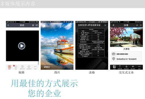 app应用及伟官网介绍